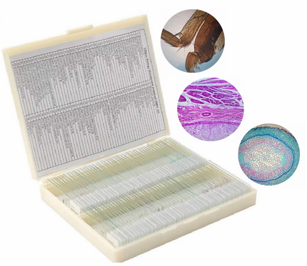 100PC Prepared Slices Microsco - đánh giá và giá Medical Lab Microscope
