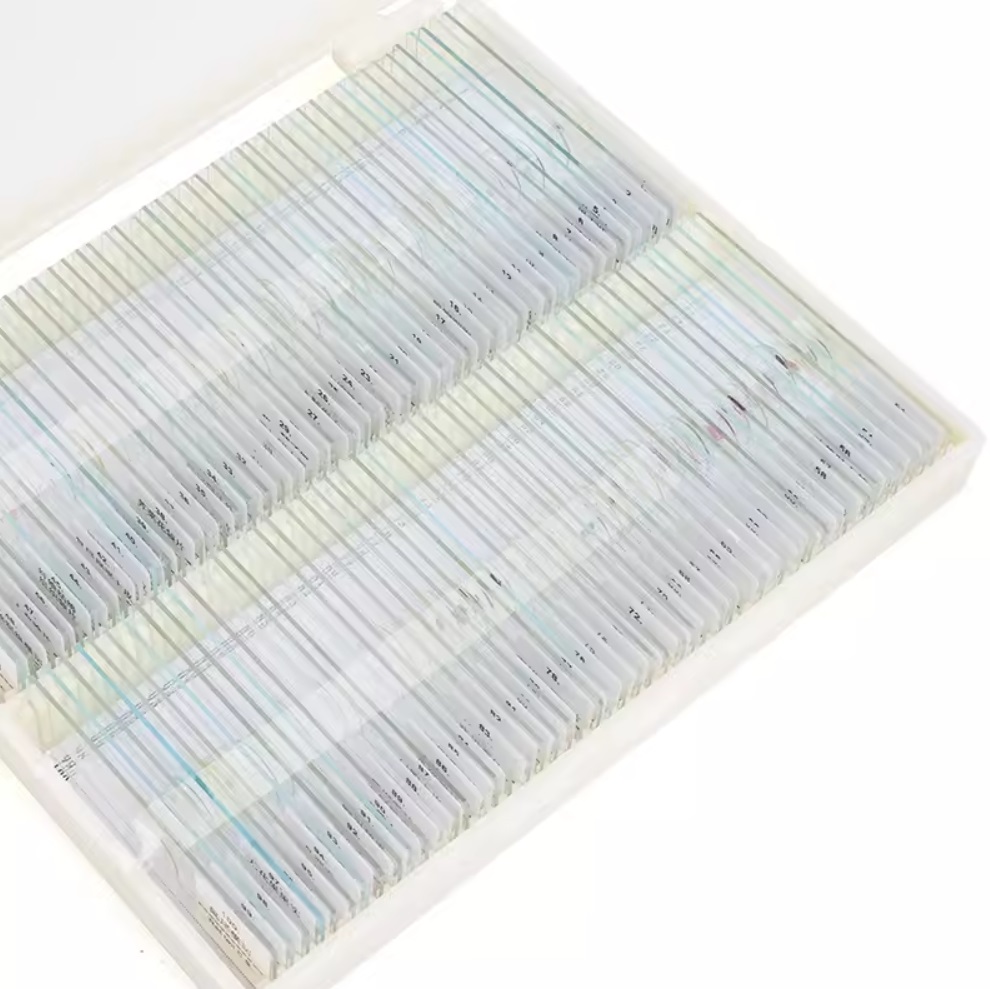 100PC Prepared Slices Microsco - đánh giá và giá Medical Lab Microscope