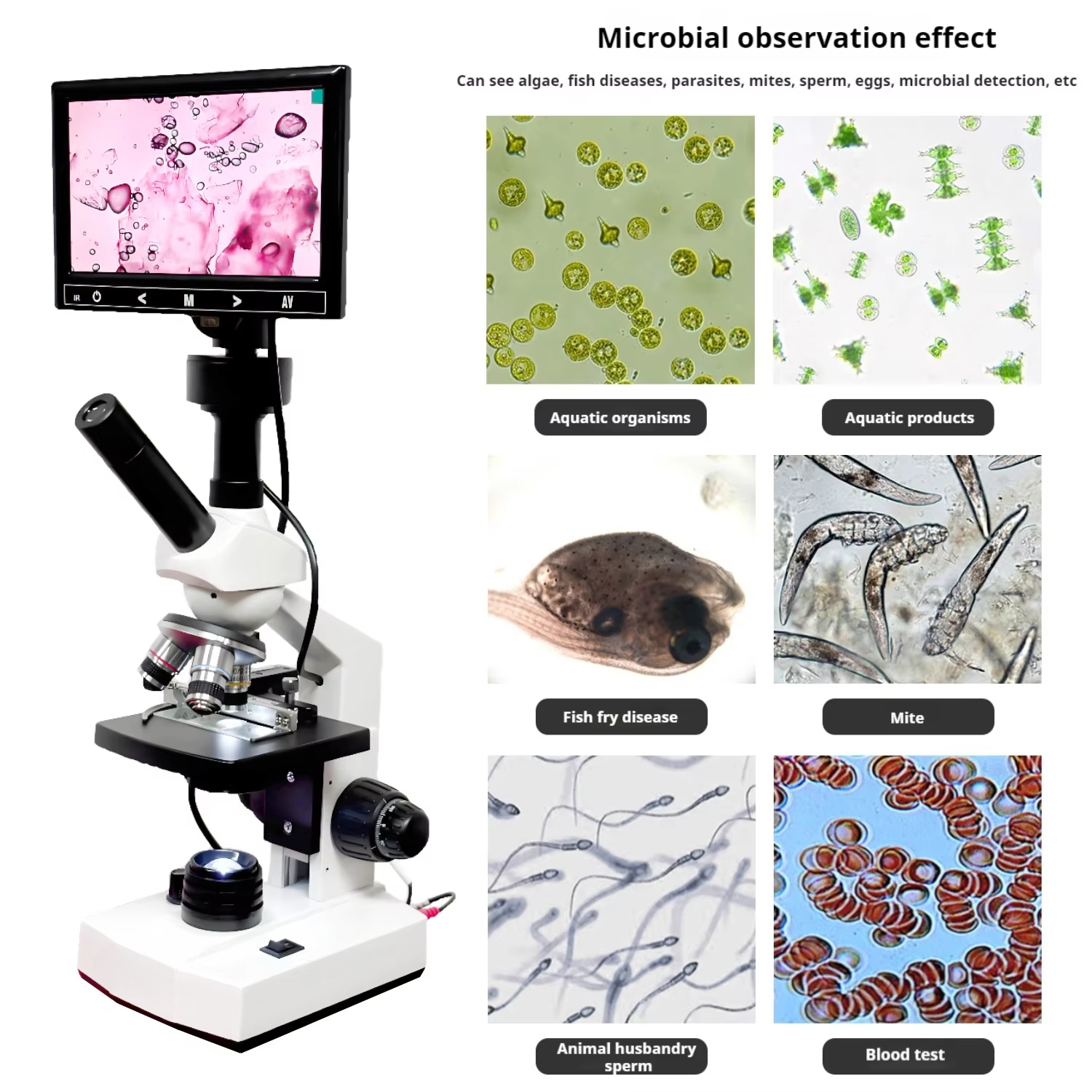 Top Selling HD Screen Digital  - đánh giá và giá Medical Lab Microscope
