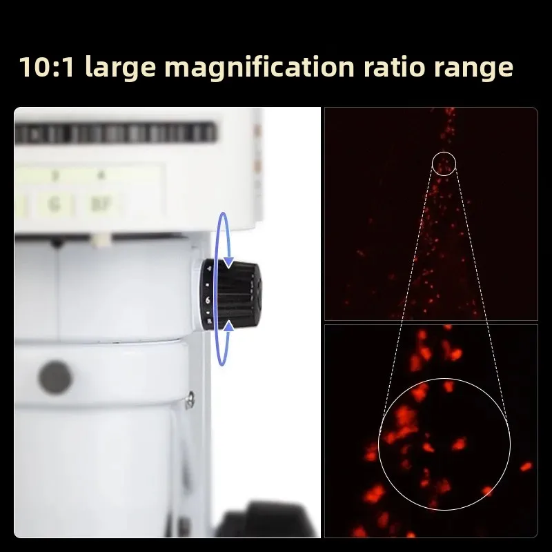 Fluorescence microscope zebraf - đánh giá và giá Medical Lab Observer