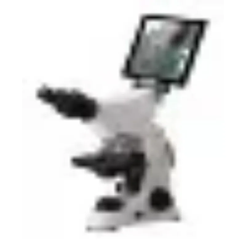 2026 New Stainless Steel Medic - đánh giá và giá Medical Lab Microscope
