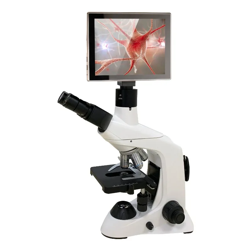2026 New Stainless Steel Medic - đánh giá và giá Medical Lab Microscope