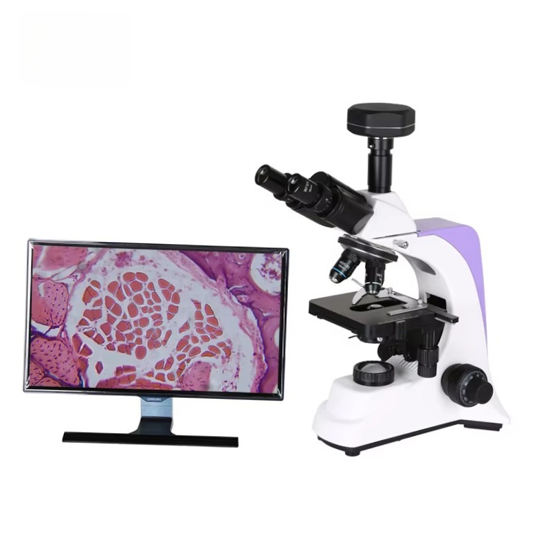 2026 Medical Lab Digital Biolo - đánh giá và giá Medical Lab Microscope