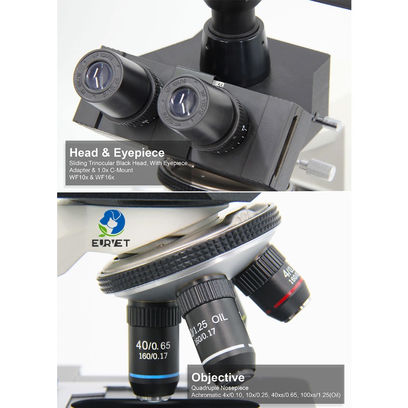 2026 Medical Lab Digital Biolo - đánh giá và giá Medical Lab Microscope