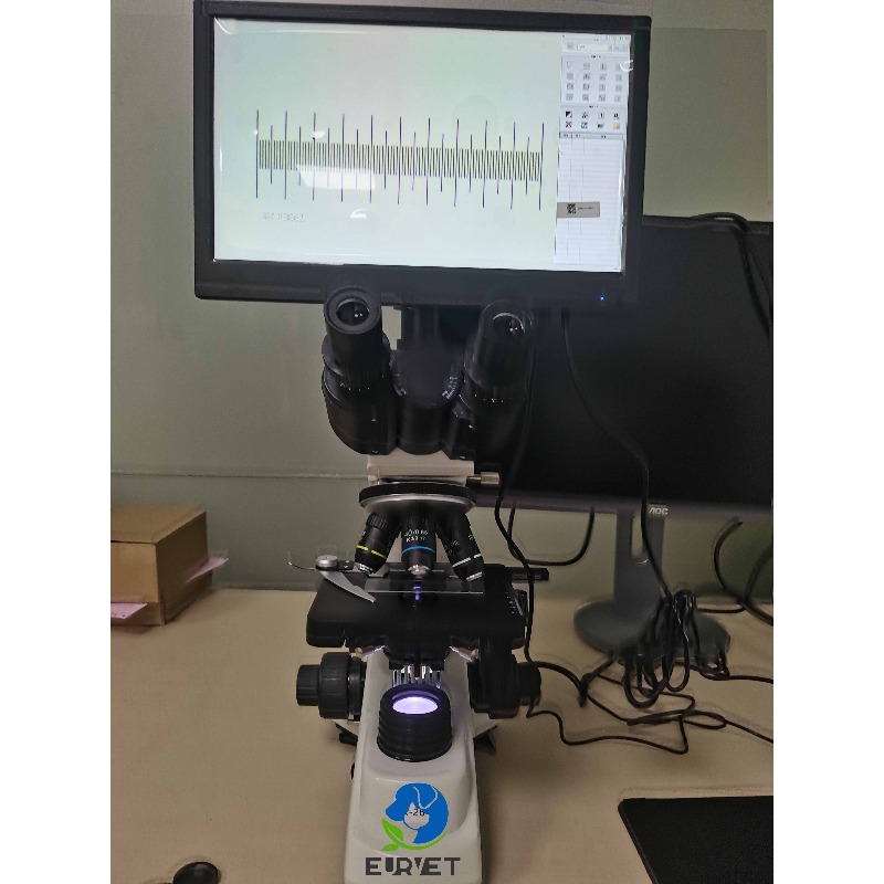2026 Medical Lab Digital Biolo - đánh giá và giá Medical Lab Microscope